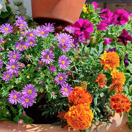 Waldblick ハイデンハイム・アン・デア・ブレンツ